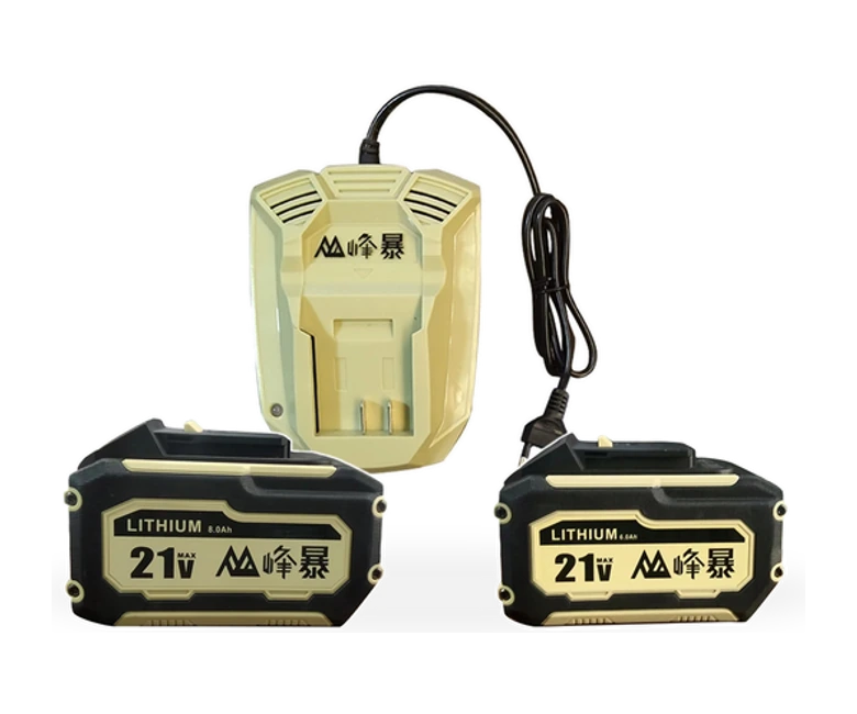 Fengbao lithium battery packs and chargers